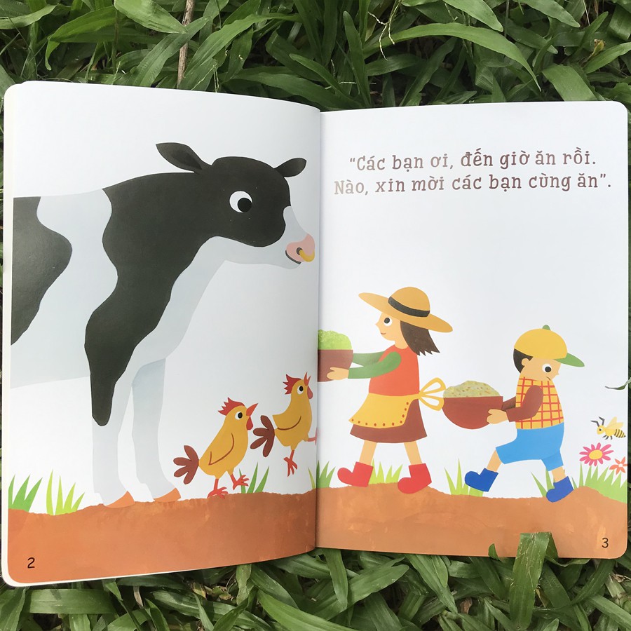Sách - Ehon Accototo (0-6 Tuổi) (Bộ 3 Quyển)