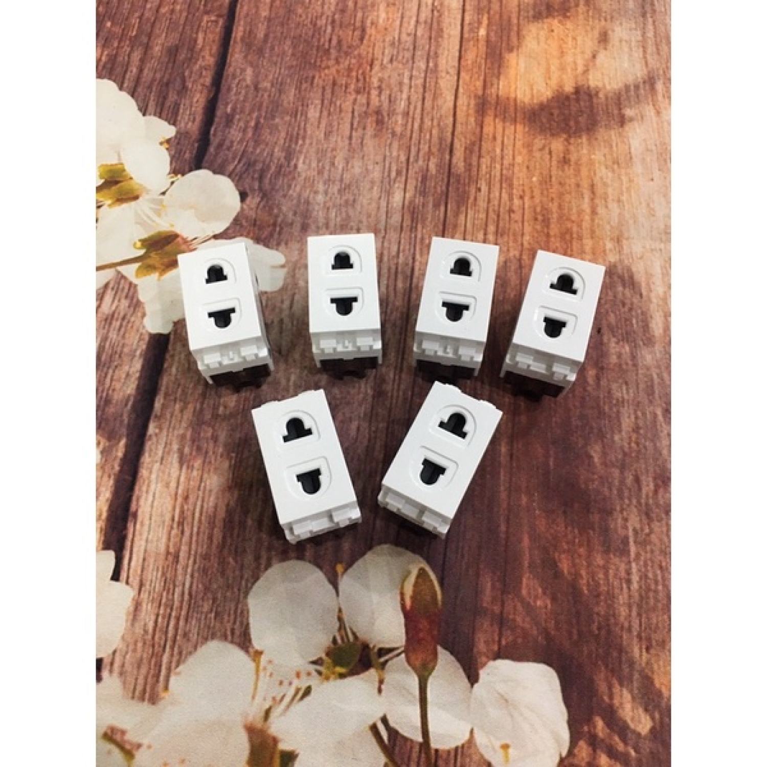 Ổ cắm 2 chấu hàng MPE