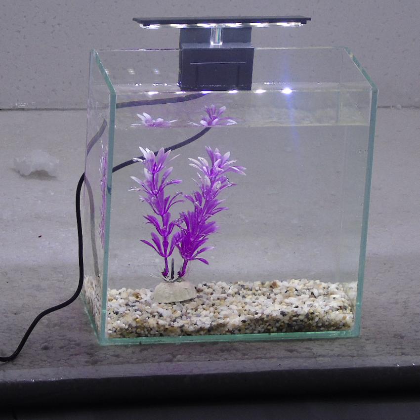 Bể cá mini để bàn 20x10x20 + Đèn Led