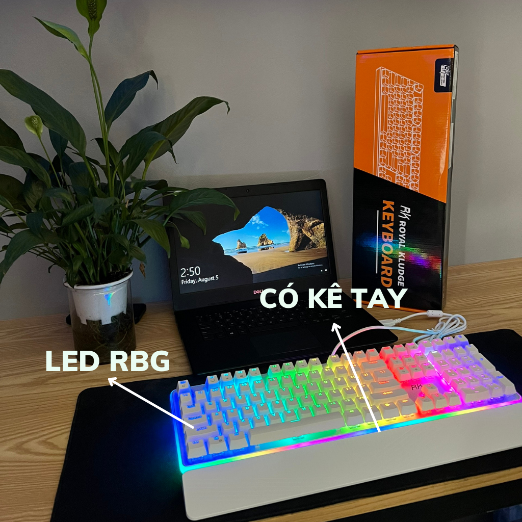 [FREESHIP MAX] Bàn phím cơ Royal Kludge RK918 920 935 blue switch size 108 phím LED RGB có kê tay-Toàn Lộc Computer