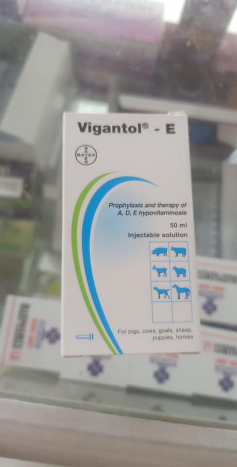 Vigantol e vitamin a,d,e