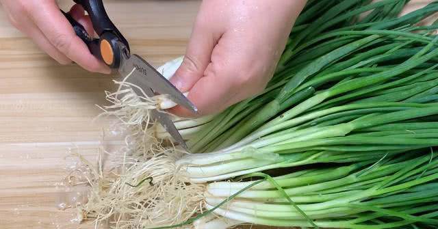 🍃Hạt Giống Hành Lá Gốc Trắng🍃 ( Tỉ lê nảy mầm tốt, Siêu thơm, Bổ dưỡng) - 1gr/gói