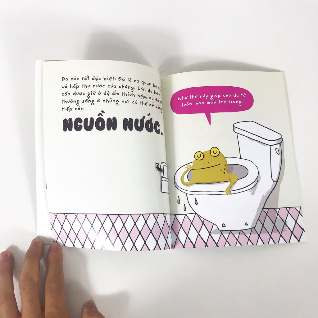 Sách - Những sinh vật í ẹ 10 cuốn (dành cho bé 5-9 tuổi)