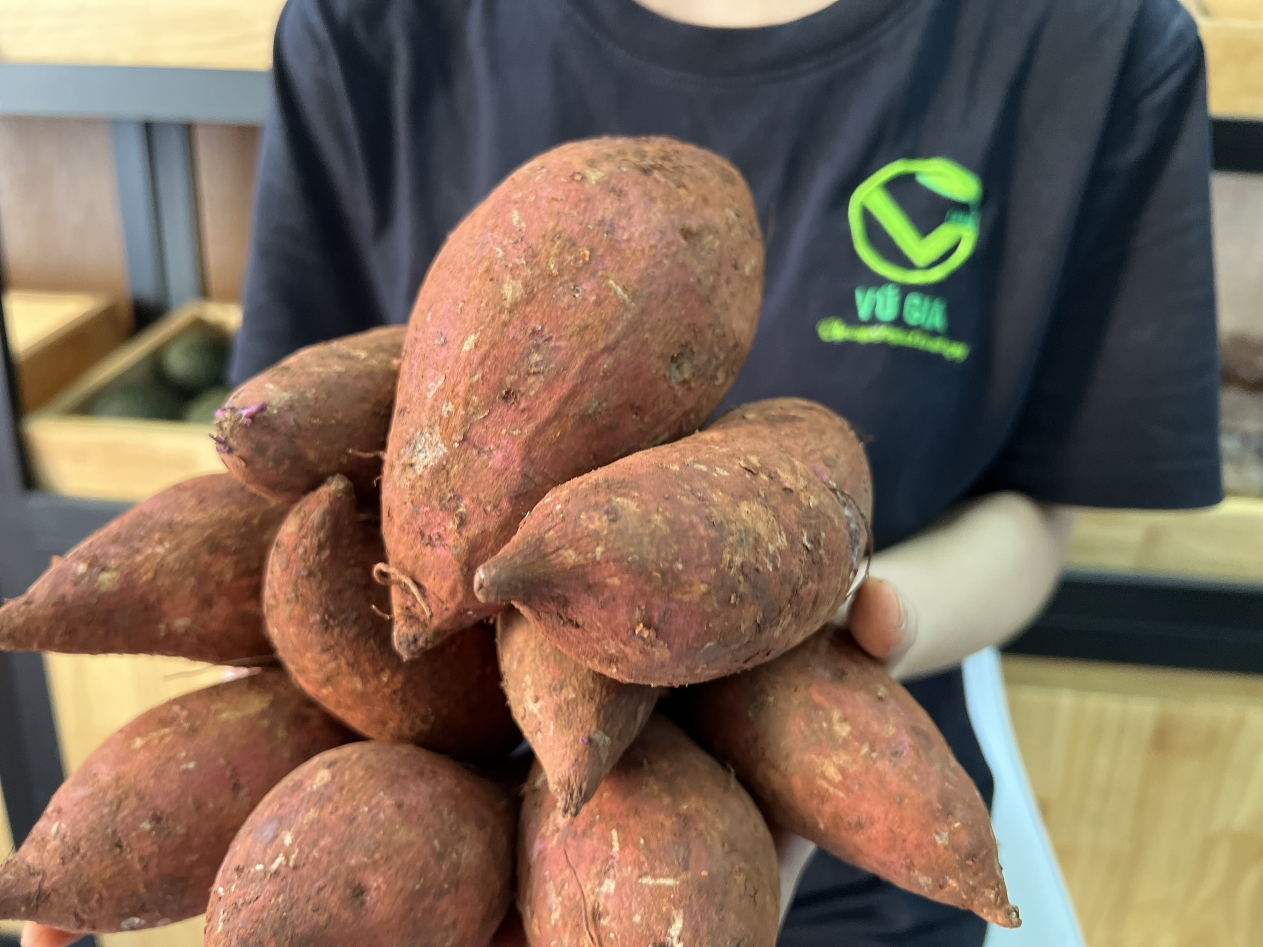 [ GIAO TOÀN QUỐC ] VG FARM Khoai Lang Mật Đà Lạt Lâm Đồng