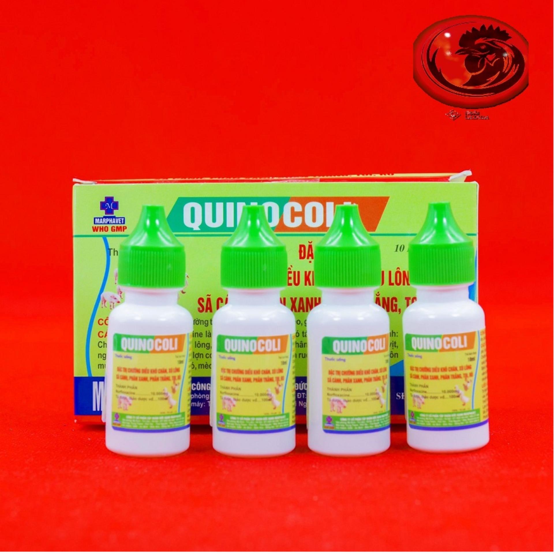 COMBO 4 LỌ QUINOCOLI đặc trị phân xanh, phân trắng cho gà đá