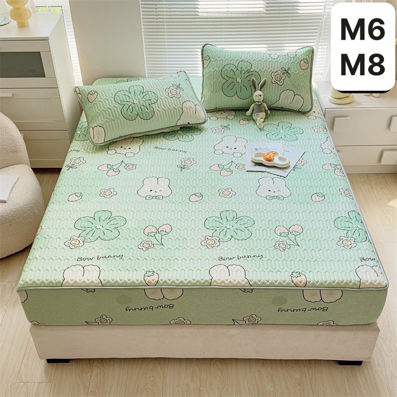 [ TẶNG KÈM 2 VỎ GỐI ] Chiếu Điều Hòa Cao Su Non Bo Chun (1m6/1m8/2m2) Mẫu Mới -