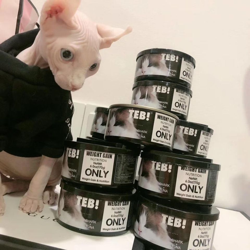 Pate Cho Mèo Giúp Tăng Cân Teb Canada 03