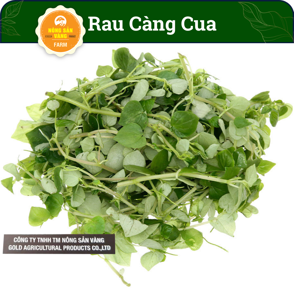 Pepper seed (decapod) high germination rate, growth and healthy, high productivity (0,5 gram package)-yellow agricultural product