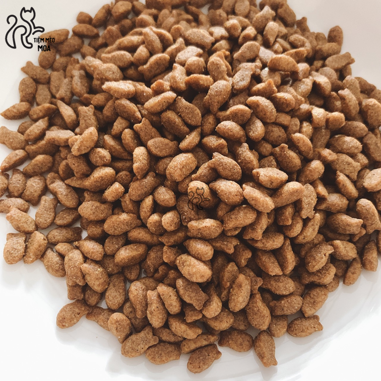 Hạt Cat's eye 1kg cho mèo - Tiệm Mèo Moa