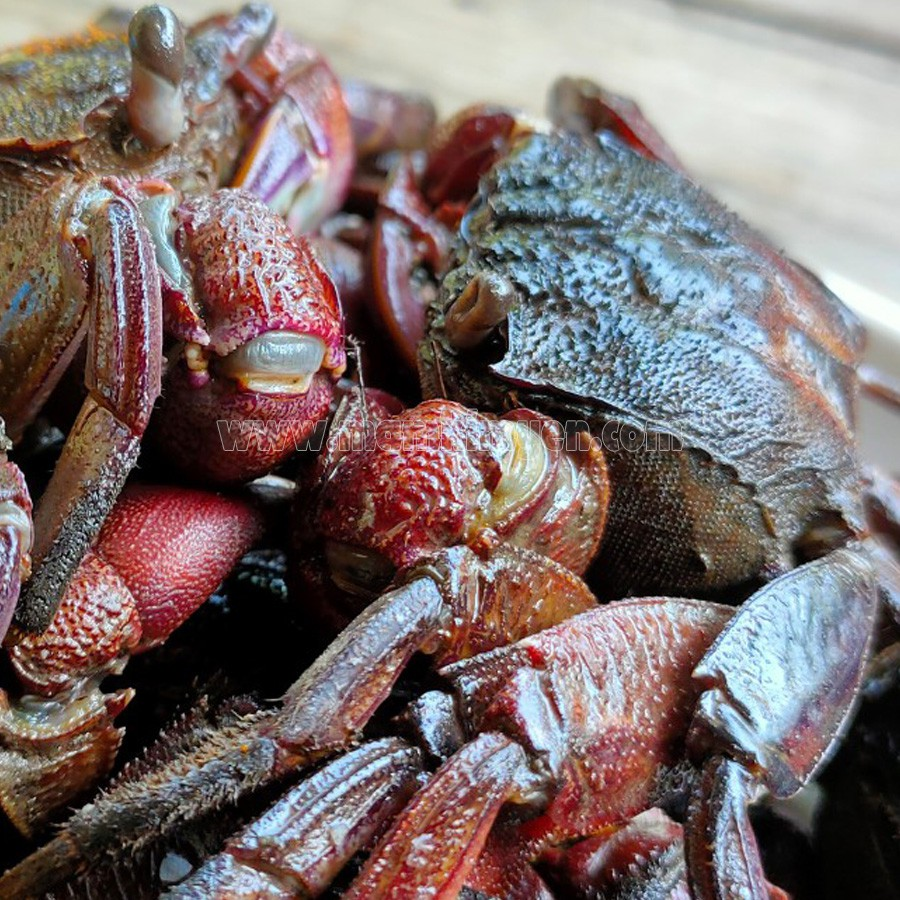 MẮM BA KHÍA NGUYÊN CON 500GR - Long Thái