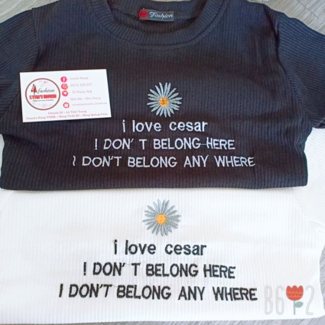 Áo Croptop Thêu Hoa Cúc Cute ANLY42