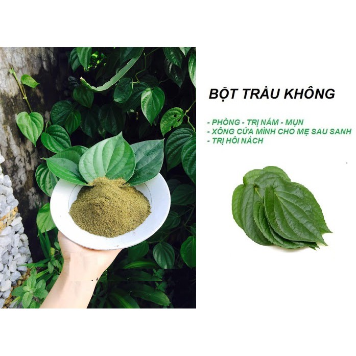 Bột Lá Trầu Không 100g - DL Taphaco
