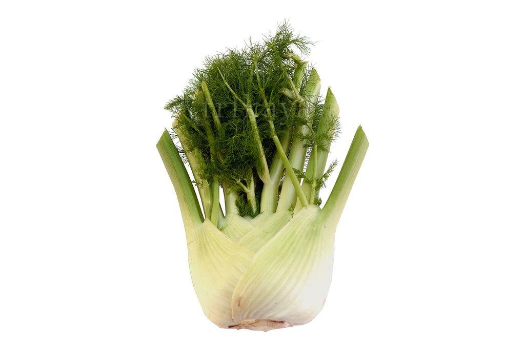 Hạt Giống Củ Thì Là Fennel - Củ Hồi (50 Hạt)