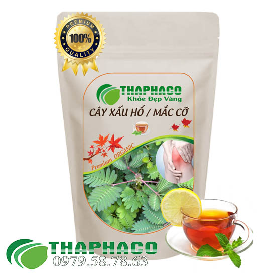 Xấu hổ, mắc cở sấy khô 100g thaphaco