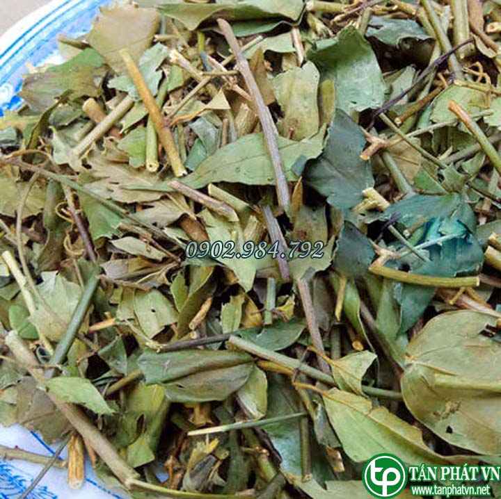 [Hàng công ty chất lượng cao] chè vằng giảm cân Thảo Dược Tấn Phát 1kg - Hàng công ty chất lượng cao