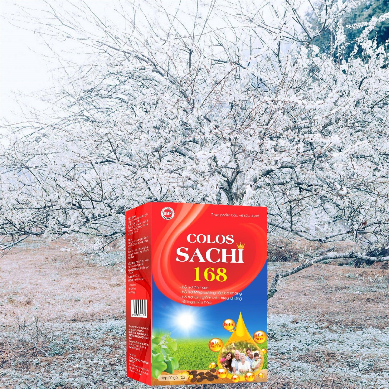 COLOS SACHI 168