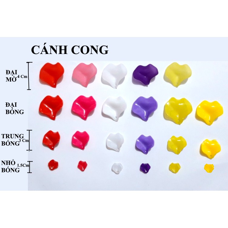 [HCM]CÁNH CONG PHA LÊ (NGUYÊN LIỆU HOA PHA LÊ)