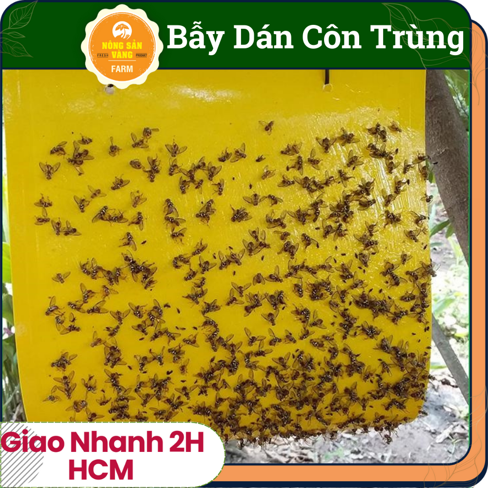 Miếng Dán Bẫy Ruồi Vàng, Côn Trùng Hại Cây Trồng siêu Dính (25 * 10 cm ...