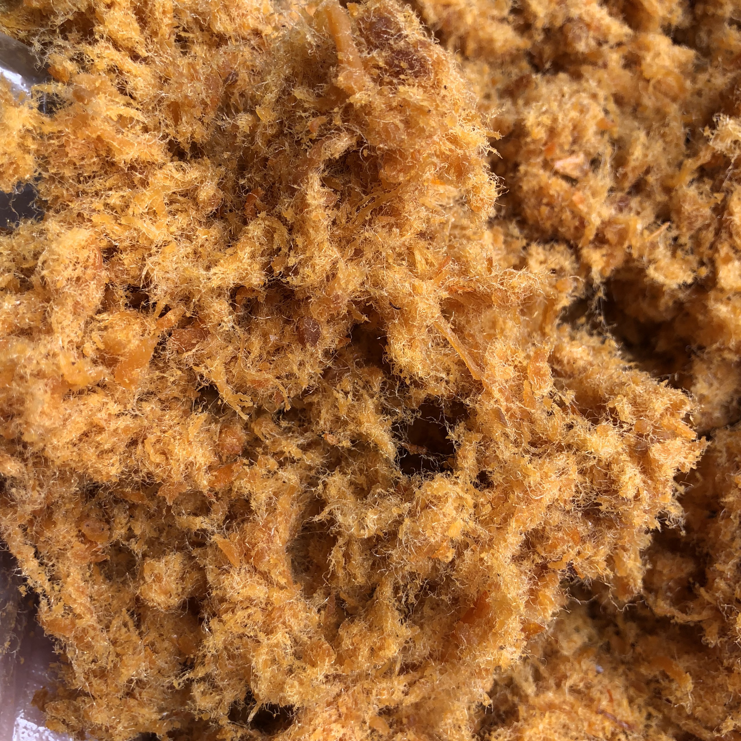 [SIÊU BỔ DƯỠNG] - 500g RUỐC TÔM THỊT - ĐẶC SẢN HẠ LONG LỌ 560G