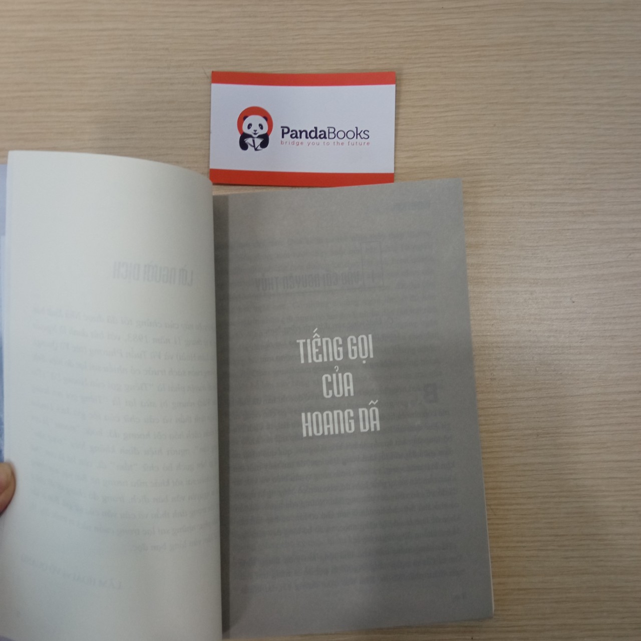 Tiếng gọi của hoang dã - Pandabooks