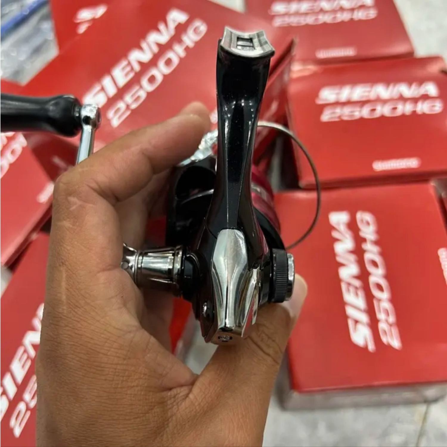Máy câu cá đứng Shimano SIENNA LK Hòa