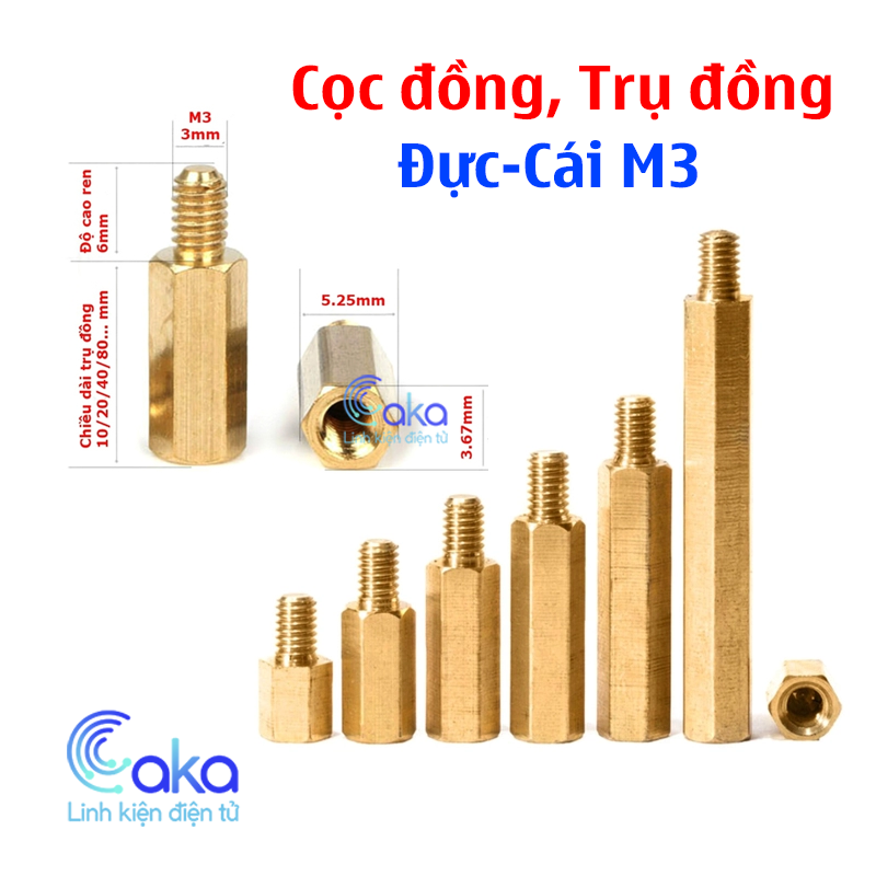Cọc đồng đực cái M3 nhiều kích thước
