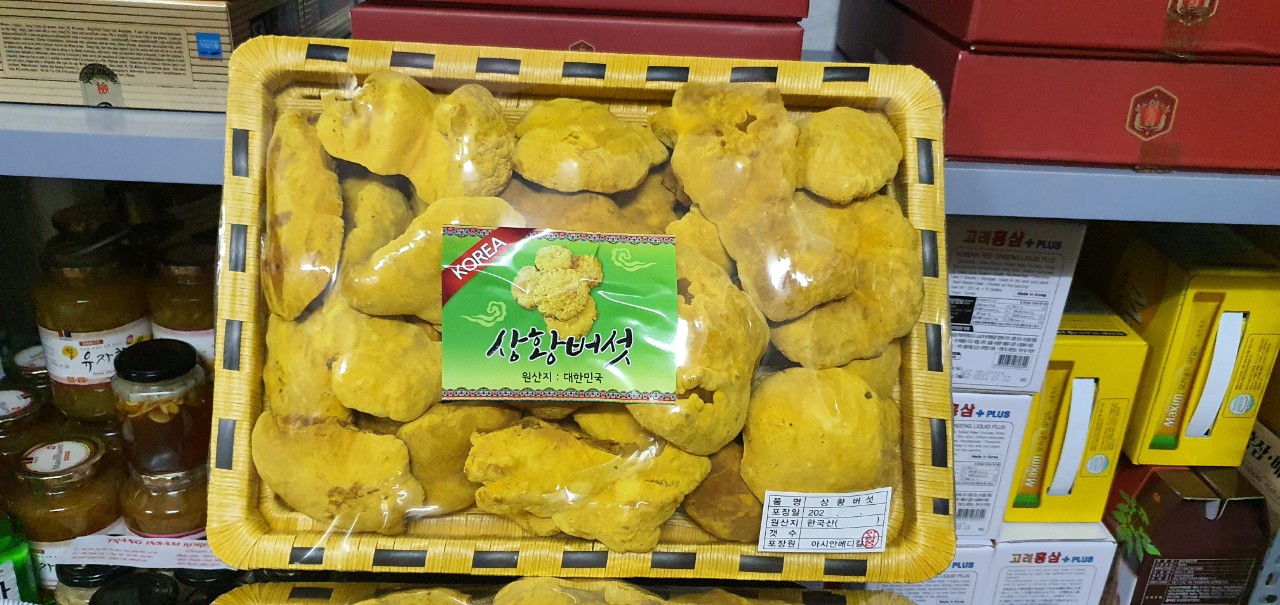 [Chuẩn Chính Hãng 100%] Nấm Thượng Hoàng Hàn Quốc Khay 500g
