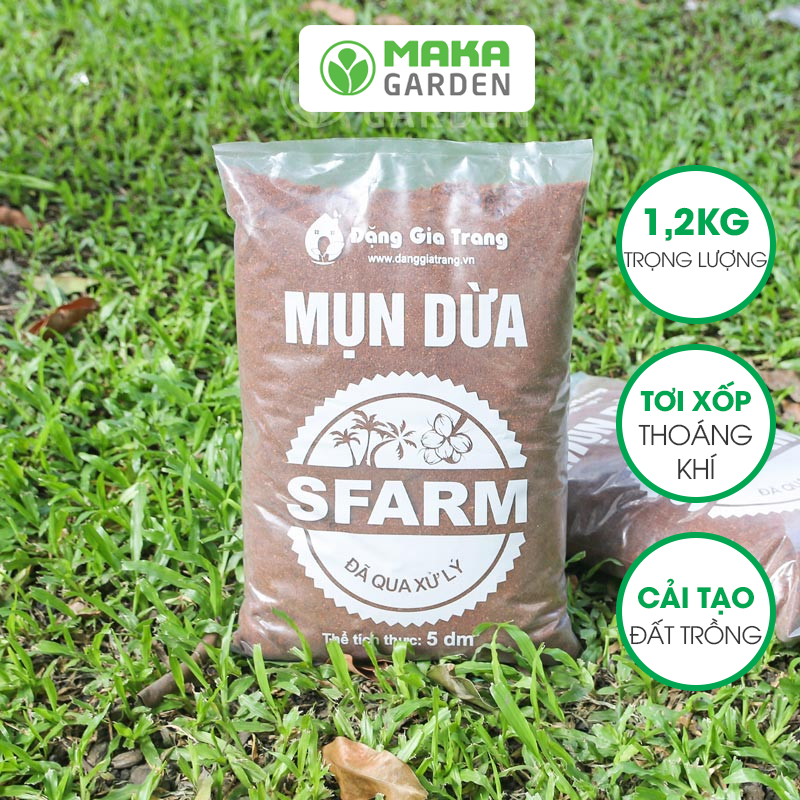 Mụn dừa nguyên chất đã qua xử lý SFARM