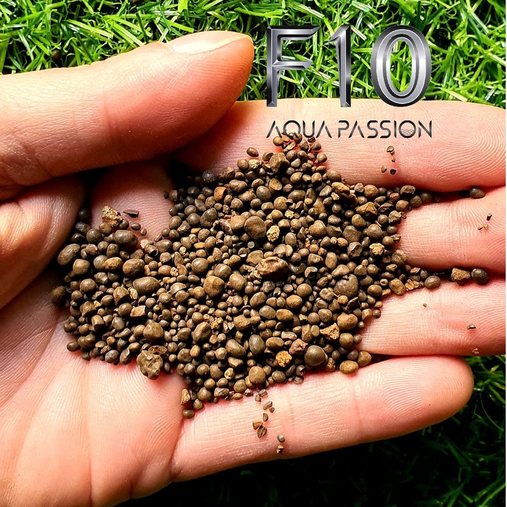 Sỏi Suối Nâu Tự Nhiên 1KG - Trang Trí Hồ Thuỷ Sinh, Tiểu Cảnh