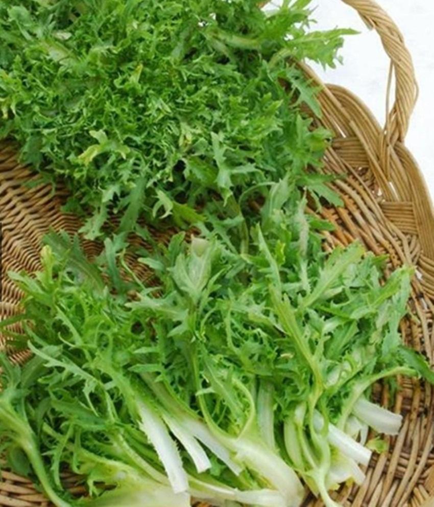 10 gam Hạt Giống Rau Cải Nhật Xanh