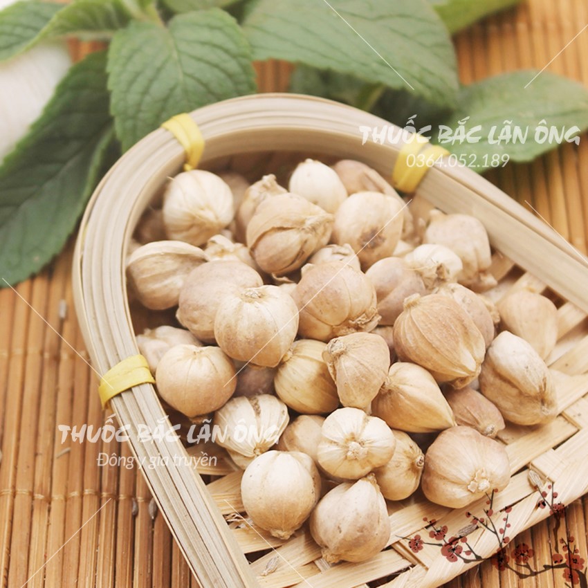 Bạch đậu khấu 100g, đậu khấu trắng khô, thơm, cay, gia vị nấu phở, lẩu cay Tứ Xuyên