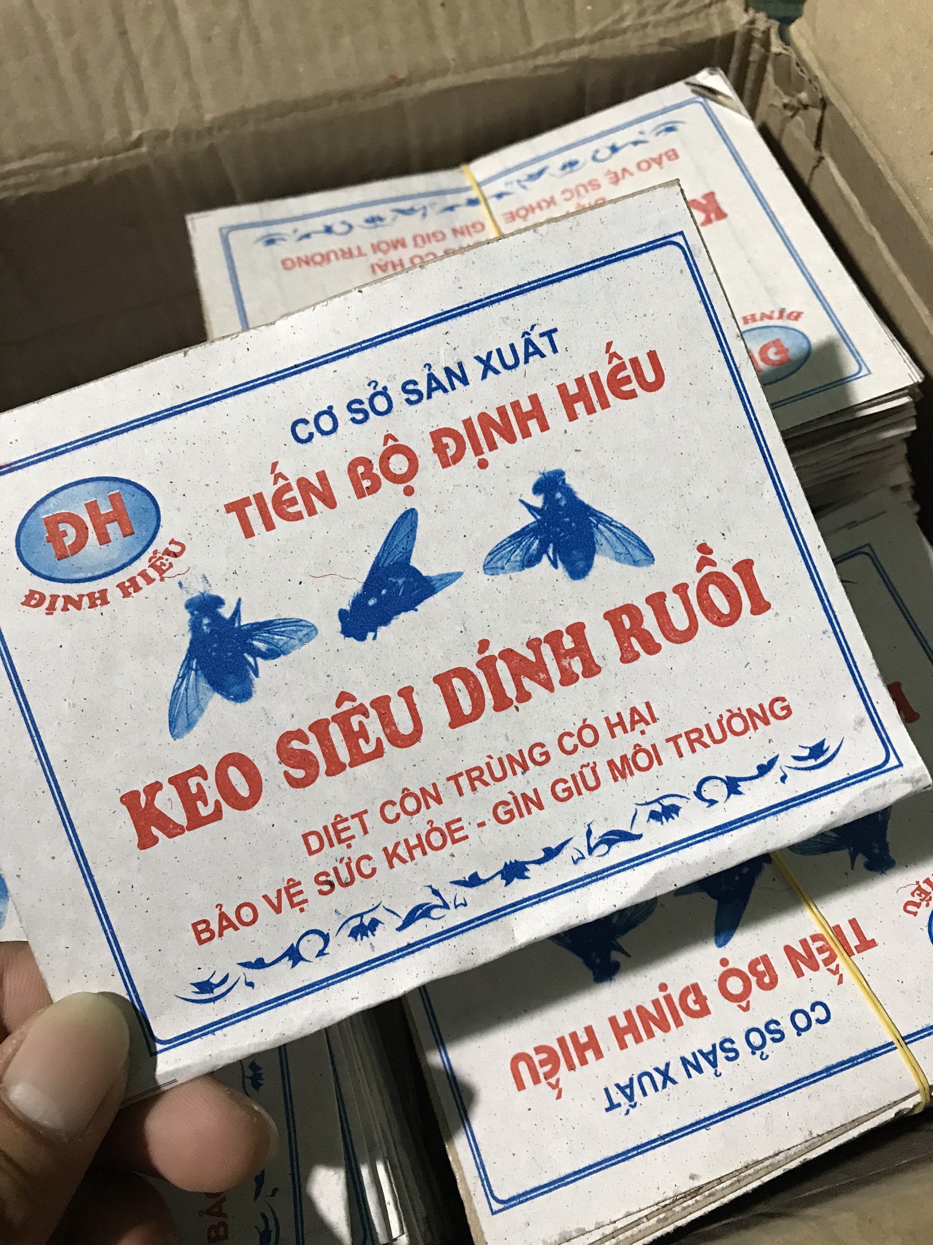 Combo 100 Miếng keo dính ruồi Siêu Dính