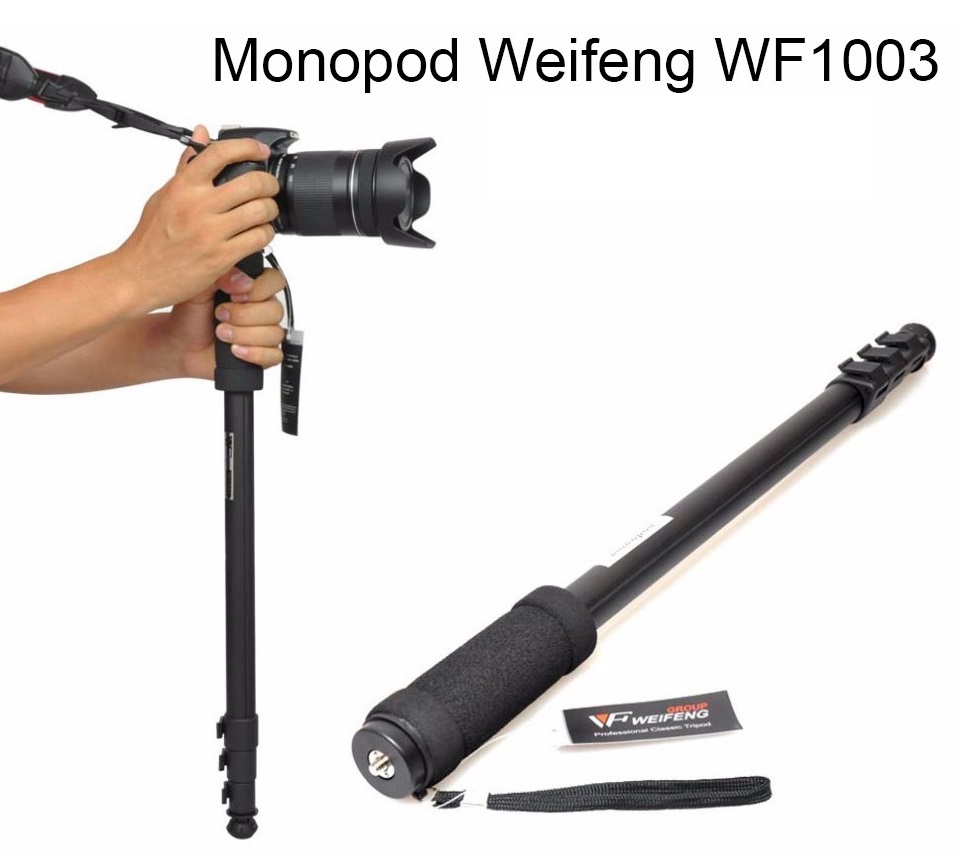 Chân máy ảnh Monopod Weifeng WT-1003