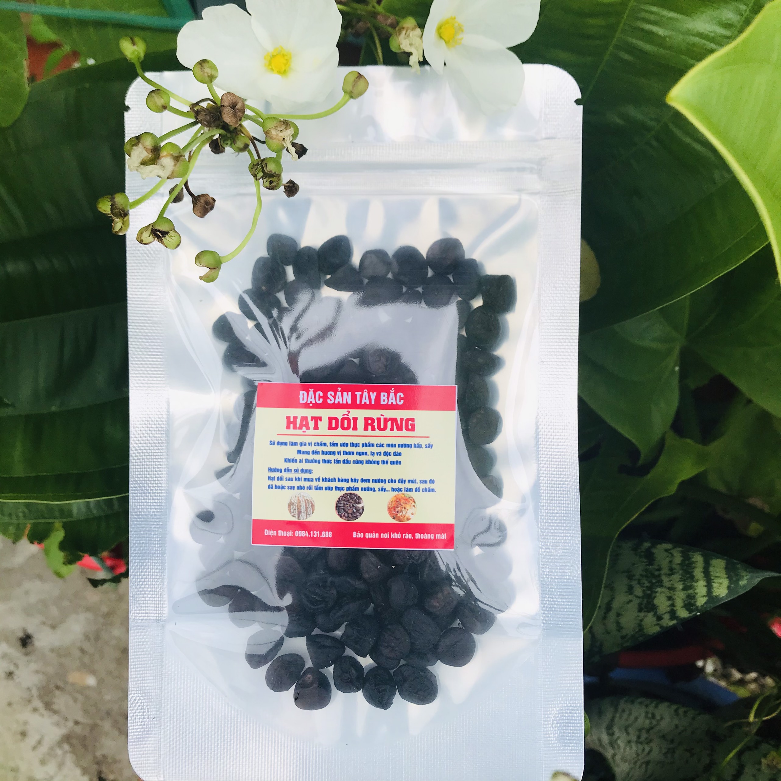 Combo Hạt Dổi  + Mắc Khén Rừng [Thơm, Ngon] - Gia Vị Tây Bắc - Làm Đồ Chấm, Ướp Thịt, Cá, Tiết Canh......