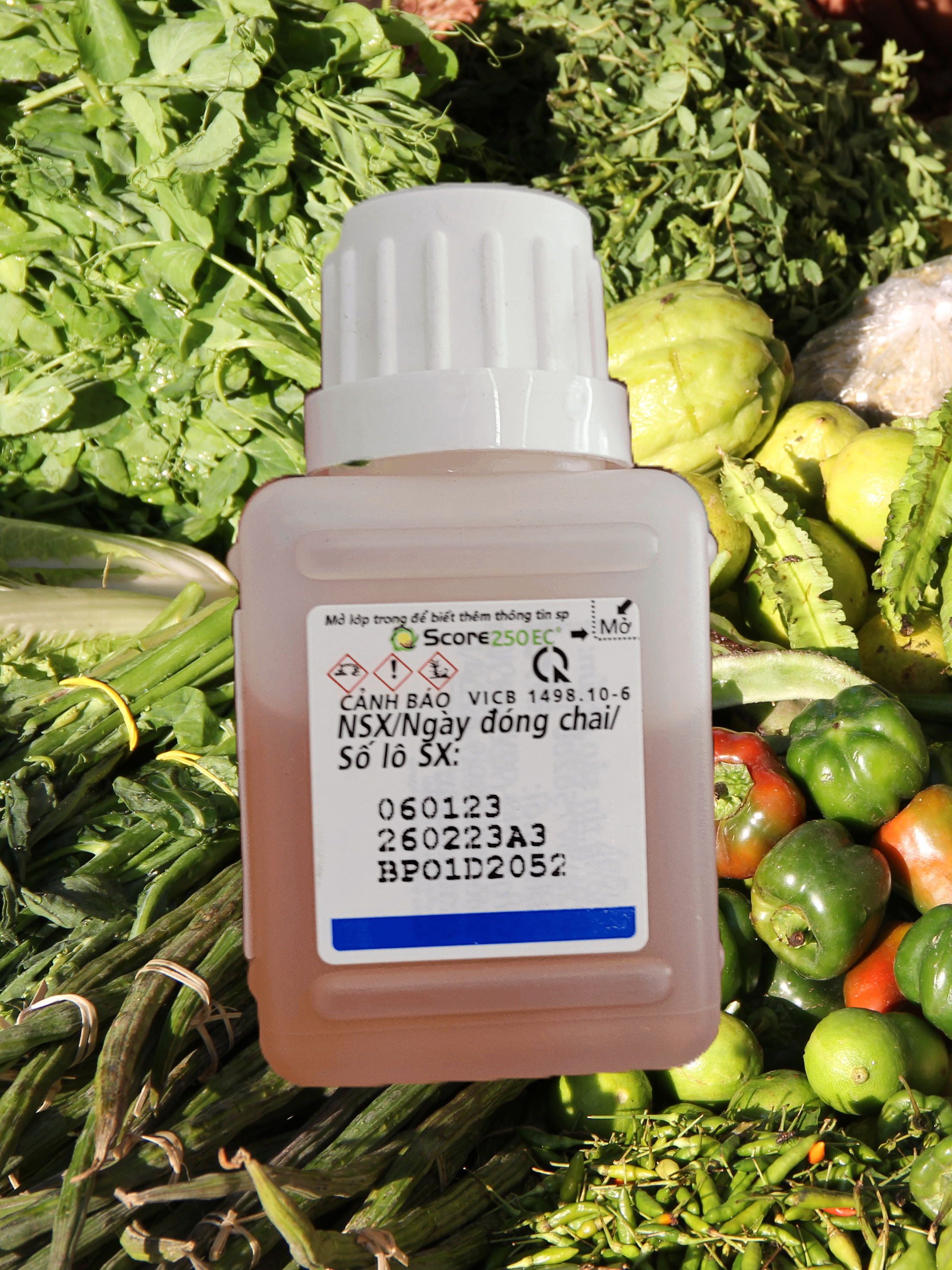 Thuốc trừ bệnh Score 250 EC (50ml)
