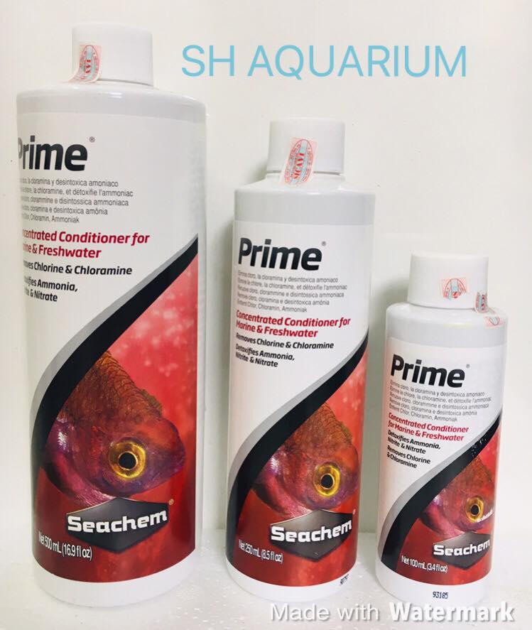 [HOÀN TIỀN 10%]DUNG DỊCH SEACHEM PRIME 250ML