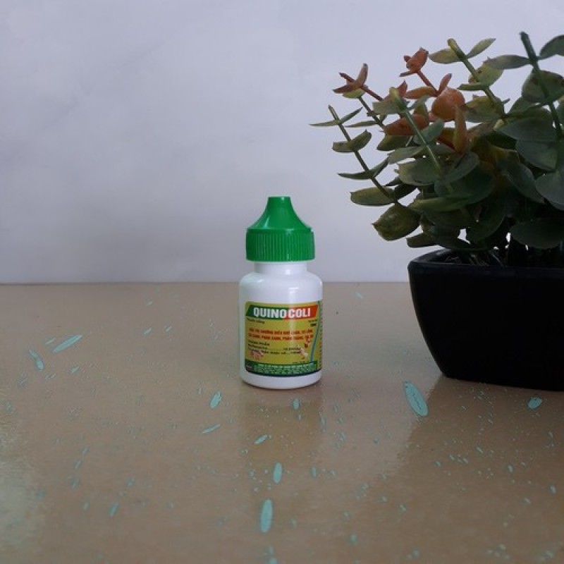 QUINOCOLI 10ml