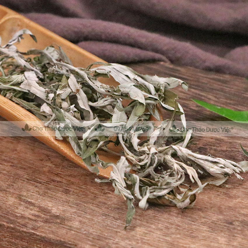 100g Ngải Cứu Khô (Hàng Nguyên Lá, Không Cành)