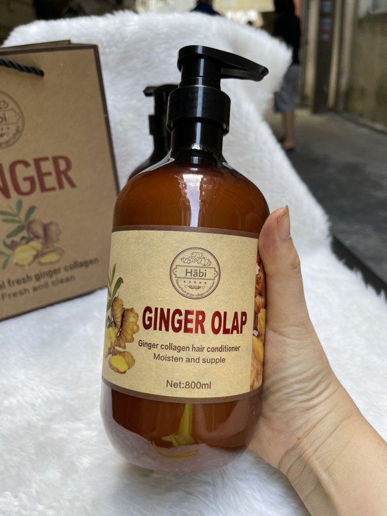 Dầu gội xả dưỡng sinh tinh chất gừng Olap Ginger