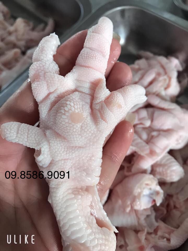 Chân gà rút xương Hà Nội