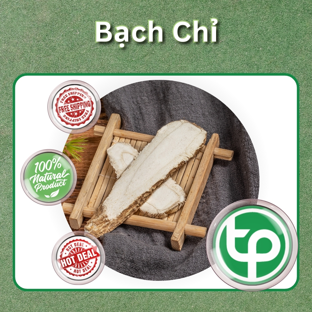 Củ bạch chỉ khô 100g - Tấn phát - Hàng loại 1 chất lượng cao