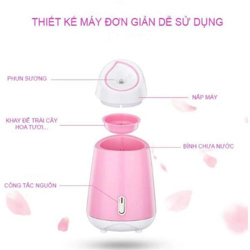 Máy Xông Hơi Mặt Hoa Quả Magic/ Maoer