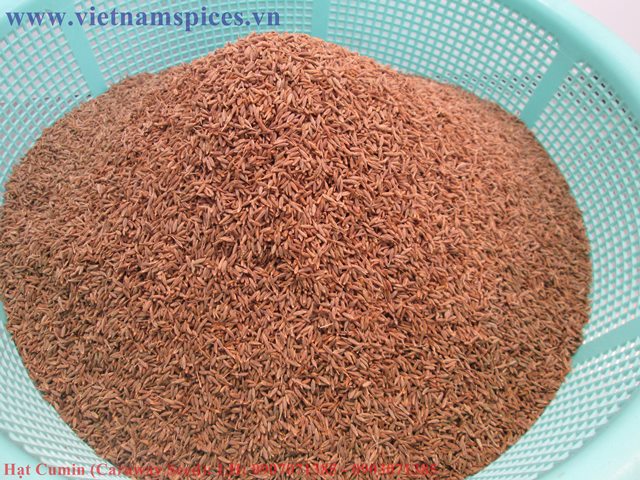 Hạt Thì Là Ai Cập (Cumin Seed, Siron Seed, Caraway Seed) 500gram