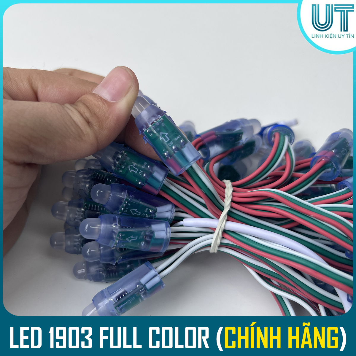 LED Dây 1903 Fullcolor Chống Nước ( Dây 50 Bóng )
