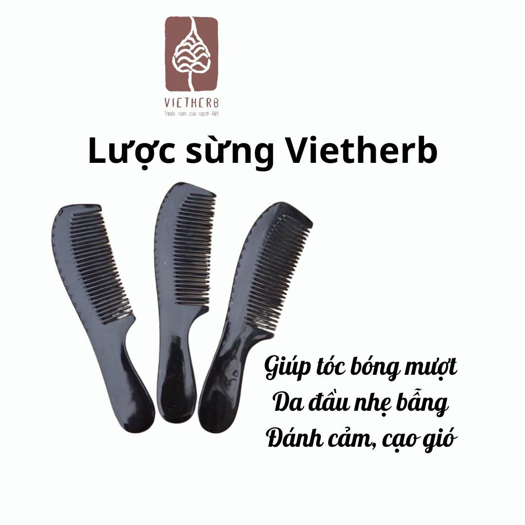 (Vietherb) Lược Sừng Dài Giúp tóc bóng đẹp, lưu thông khí huyết da đầu, massage, đánh cảm, cạo gió Koshka Home