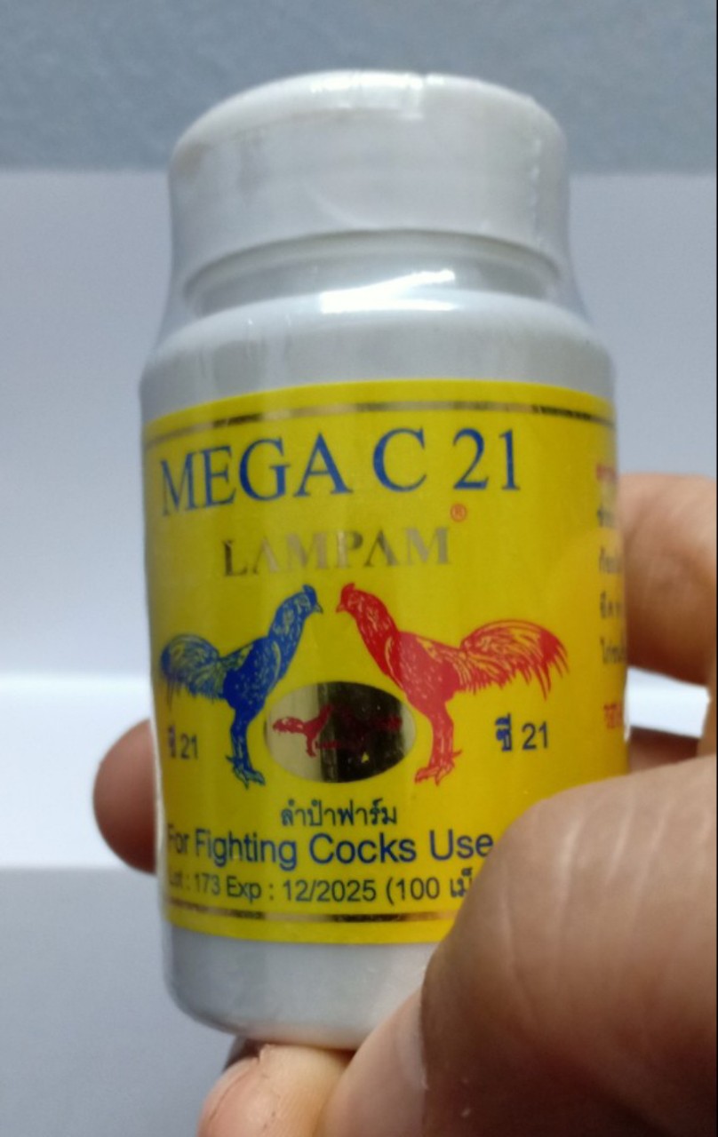 KÍCH LỰC TRƯỚC ĐÁ MEGA C21