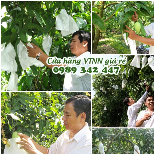 Combo 50 Túi Bọc Ổi Chất Lưọng Số 1, chất lượng số 1
