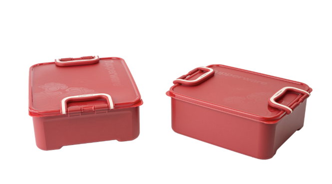 Bộ hộp bảo quản thực phẩm Tupperware ngâm (2)