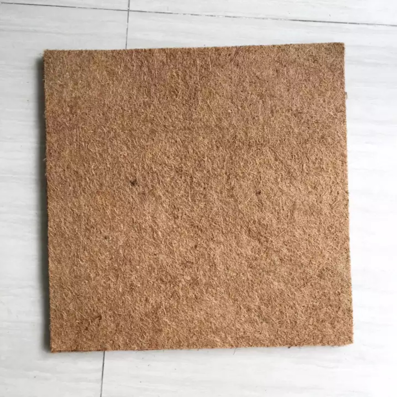 Miếng Sơ Dừa Trồng Lan 50x50cm