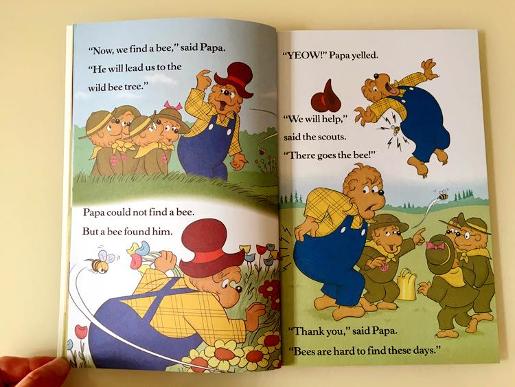 Berenstain Bears - 34 cuốn